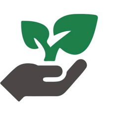 FutureFitNow leaf and hand mark